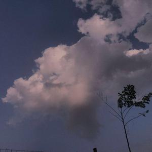 浪漫樱花动漫在线观看片官网
