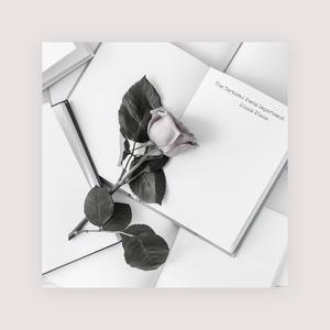 浪漫樱花动漫在线观看片官网
