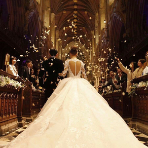 浪漫樱花动漫在线观看片官网
